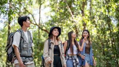 Cara Melindungi Diri dari Demam Berdarah Saat Traveling