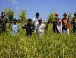 Pesta Panen Padi di Desa Wawo, Pj Bupati Kolut Tekankan Hal Ini