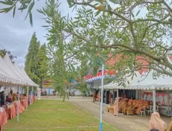 Stabilkan Harga dan Tekan Laju Inflasi, Ini Langkah Disperindag Sultra