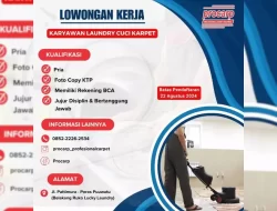 Procarp Kendari Buka Rekrutmen Karyawan Laundry, Simak Kualifikasinya