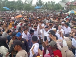 PKB Mubar Nilai La Ode Darwin-Ali Basa Pantas Lawan Kotak Kosong