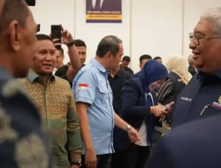 Kepiawaian Darwin Ciptakan Lawan Kotak Kosong Dipuji Ali Mazi