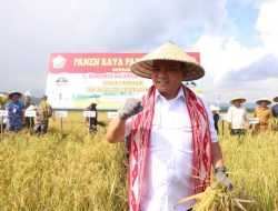 Usaha Pertanian di Sultra Meningkat 2,27 Persen Ditunjang Potensi 2,8 Juta Hektar Lahan Produktif