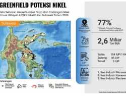 Sultra Jadi Wilayah Greenfield Nikel dengan Cadangan Terbesar Bakal Pikat Investor
