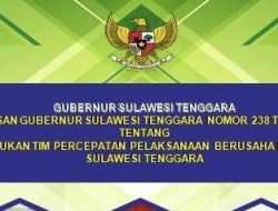 Pemprov Bentuk Tim Percepatan Pelaksanaan Berusaha di Sulawesi Tenggara
