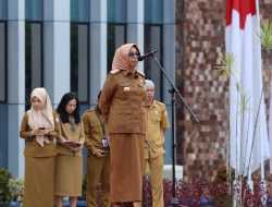 Usulan CPNS dan P3K Pemprov Sultra Disetujui Pusat