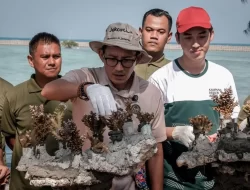 Menparekraf Lakukan Transplantasi Terumbu Karang di Desa Wisata Pulau Pramuka