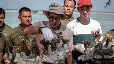 Menparekraf Lakukan Transplantasi Terumbu Karang di Desa Wisata Pulau Pramuka