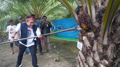Bupati Koltim Tekankan Pentingnya Pengembangan Perkebunan Rakyat