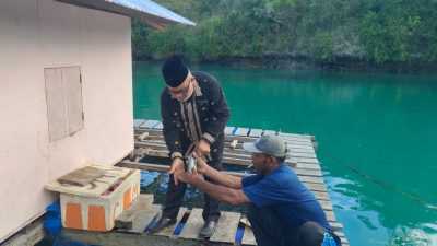 Gunakan Dana Desa, Pemdes Lohia Bangun Keramba Jaring Apung di Danau Napabale