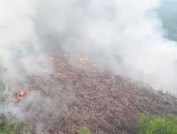 Titik Panas Terbanyak di Konawe, Masyarakat Diimbau Waspada Karhutla