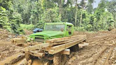 Polda Sultra Gerebek Pembalakan Liar di Konawe Utara