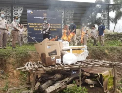 Balai Karantina Sultra Musnahkan Puluhan Kilogram Benih Padi dan Sawit Ilegal