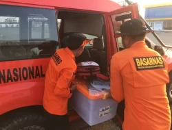 Pergi Memanen Jambu Mete di Kebun, Lansia di Muna Dilaporkan Hilang