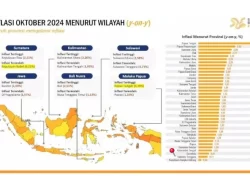 Inflasi Terkendali, Sultra Catatkan Deflasi 0,17 Persen di Oktober 2024