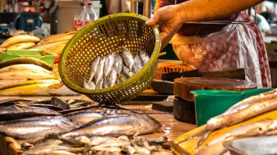 Ini Deretan Provinsi di Indonesia yang Penduduknya Paling Banyak Makan Ikan