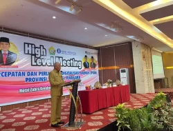 Buka High Level Meeting TP2DD, Sekda Sultra Minta Optimalkan Penggunaan ETPD
