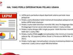 Hal Penting yang Diperhatikan Pelaku Usaha dalam Penyampaian LKPM