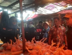 Sidak Pasar-Gudang Bulog, TPID Kendari Pastikan Stok dan Harga Bahan Pokok Stabil