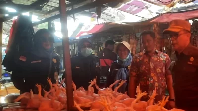 Sidak Pasar-Gudang Bulog, TPID Kendari Pastikan Stok dan Harga Bahan Pokok Stabil