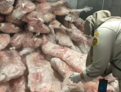 Cegah Penyakit Berbahaya, Balai Karantina Sultra Periksa Kapal Asing