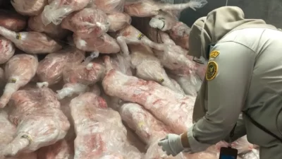 Cegah Penyakit Berbahaya, Balai Karantina Sultra Periksa Kapal Asing