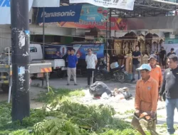 Pj Wali Kota Kendari Pantau Pembersihan dan Pemangkasan Pohon di Kadia