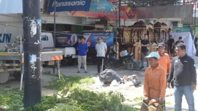 Pj Wali Kota Kendari Pantau Pembersihan dan Pemangkasan Pohon di Kadia