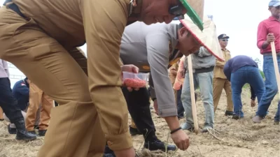 Dukung Swasembada Pangan, Lahan Tidur di Kendari Ditanami Jagung