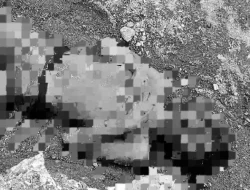 Mayat Pria Ditemukan di Pomalaa Kolaka, Begini Kondisinya