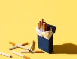 Bea Cukai Kendari Tindak 1,4 Juta Batang Rokok Ilegal, 2 Pelaku Diamankan