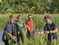 Kolaborasi Pemkot-Lapas Kendari Manfaatkan Lahan Kosong untuk Hasilkan Cuan bagi WBP