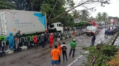 Pohon Tumbang Timpa Truk Kontainer di Depan Rumah Sakit Siloam Baubau