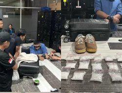 Bawa 645 Gram dari Batam, Penumpang Pesawat Ditangkap di Bandara Haluoleo