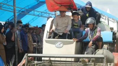 Panen Raya di Mekar Jaya, Bupati Koltim Ajak Petani Terus Tingkatkan Produktivitas