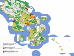 Dinilai ‘Legalkan’ Industri Nikel di Pulau-pulau Kecil, WALHI Ungkap Bahaya Revisi RTRW Sultra