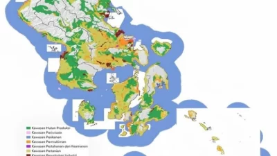 Dinilai ‘Legalkan’ Industri Nikel di Pulau-pulau Kecil, WALHI Ungkap Bahaya Revisi RTRW Sultra