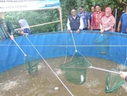 Pemkot Kendari Dorong Masyarakat Budidaya Perikanan dengan Bioflok