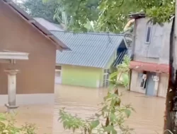 6 Wilayah di Kendari Diterjang Banjir hingga Tanah Longsor Akibat Hujan Deras