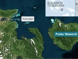 Kemenhut Resmi Mencabut Izin Tambang di Pulau Wawonii