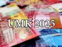 Rincian Upah Minimum 17 Kabupaten/Kota di Sultra Tahun 2025