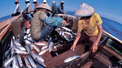 Penerimaan Devisa Sektor Perikanan di Sultra Tembus Rp 25,45 Triliun