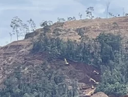 PT Primastian Metal Pratama Diduga Garap Kawasan Hutan di Konut Tanpa PPKH