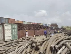 Diduga Disalahgunakan oleh PT VDNI, Bea Cukai Kendari Didesak Cabut Status Kawasan Berikat Morosi