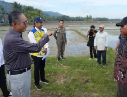 Pulau Buton Ditargetkan Jadi Sasaran Utama Inpres Irigasi Demi Swasembada Pangan