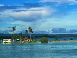 Didominasi Cerah Berawan, Cek Prakiraan Cuaca Sulawesi Tenggara 29 Agustus 2025