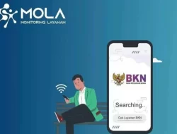 Mola BKN Fasilitasi Cek Progres Penetapan NIP/NI CPNS dan PPPK, Begini Caranya