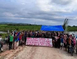 Lawan Penggusuran Paksa, AMT Angata Kembali Kuasai Lahan yang Diklaim PT MS