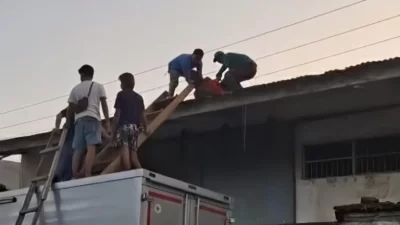 Perbaiki Atap Gudang, Pekerja Harian Toko Retail di Kendari Tewas Tersengat Listrik