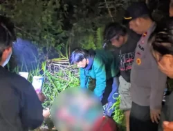 Warga di Kolaka Utara Ditemukan Tewas dengan Tombak Tertancap di Dada